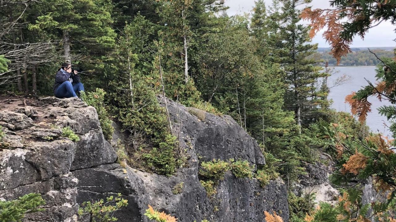The Whippoorwill Cottage - Nbp-2022-201 Lions Head Exteriör bild